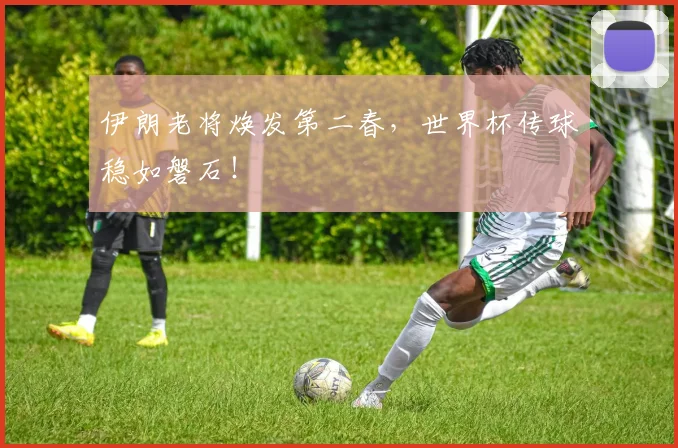 伊朗老将焕发第二春，世界杯传球稳如磐石！
