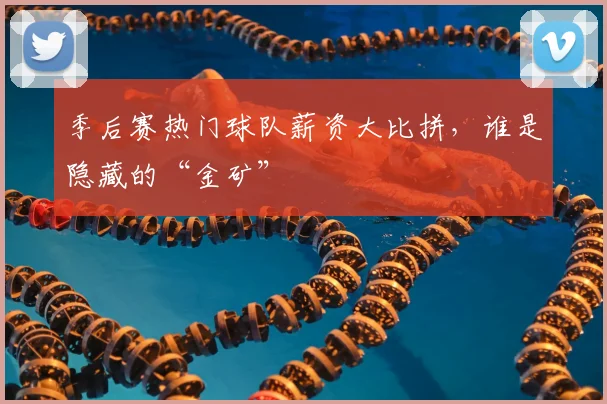季后赛热门球队薪资大比拼，谁是隐藏的“金矿”