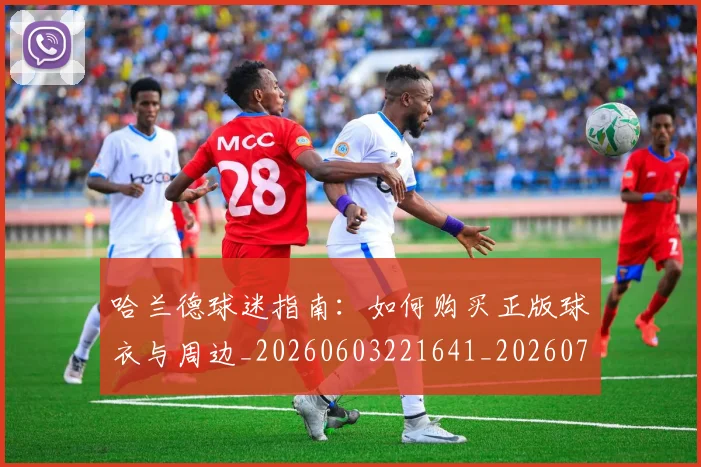 哈兰德球迷指南：如何购买正版球衣与周边_20260603221641_20260707012851