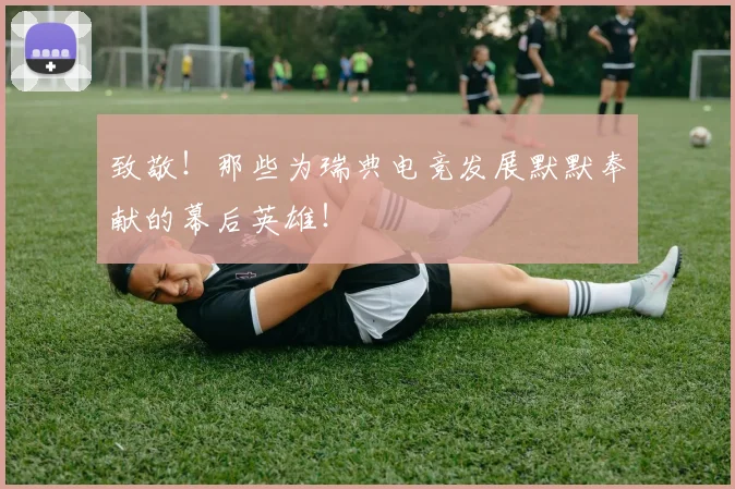 致敬！那些为瑞典电竞发展默默奉献的幕后英雄！