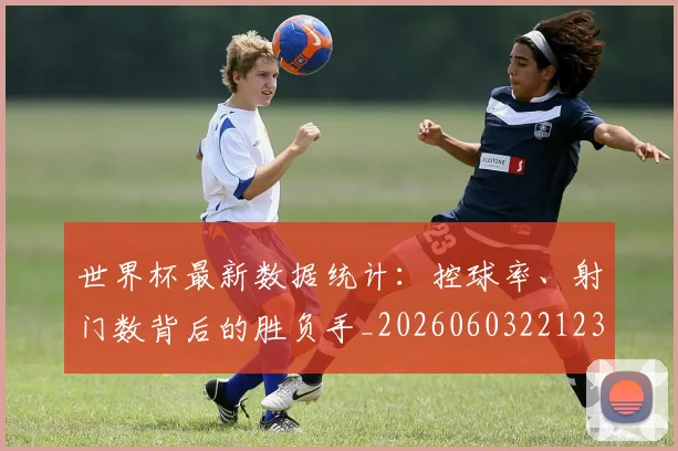 世界杯最新数据统计：控球率、射门数背后的胜负手_20260603221230