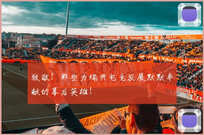 致敬！那些为瑞典电竞发展默默奉献的幕后英雄！