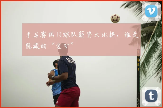 季后赛热门球队薪资大比拼,谁是隐藏的“金矿”