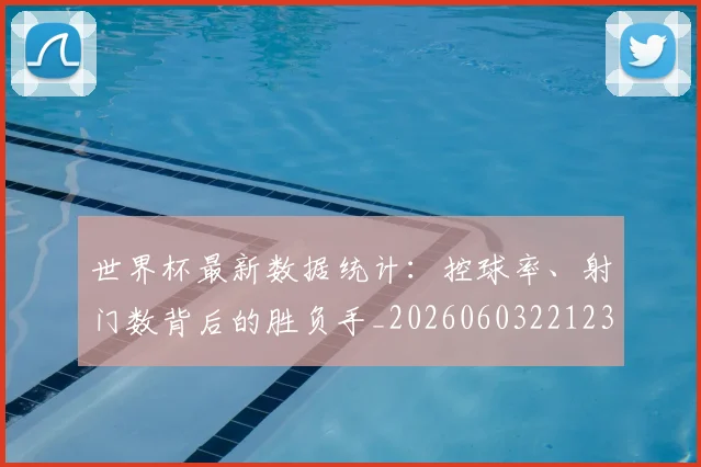 世界杯最新数据统计:控球率、射门数背后的胜负手_20260603221230