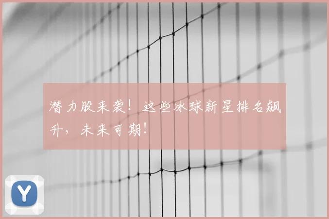 潜力股来袭！这些冰球新星排名飙升，未来可期！