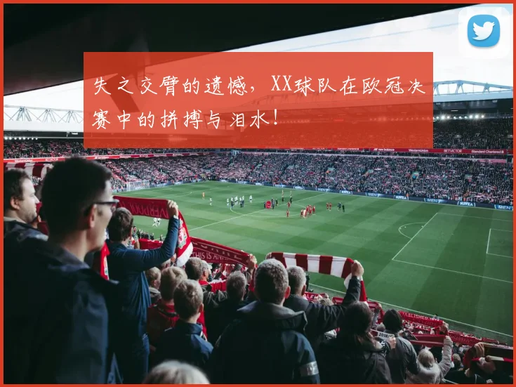 失之交臂的遗憾，XX球队在欧冠决赛中的拼搏与泪水！